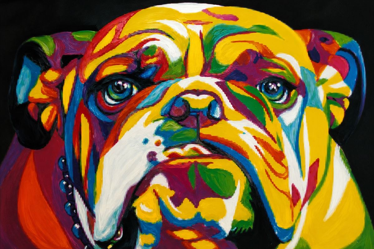 Bulldog in felle kleuren