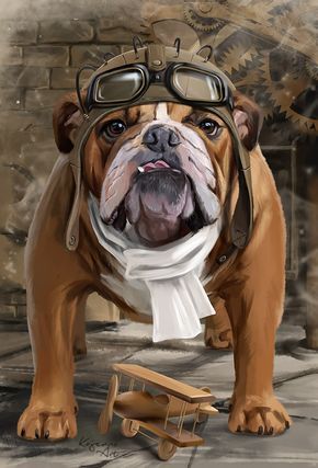 Bulldog als piloot