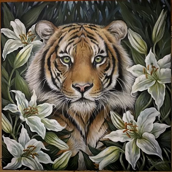 Tijger