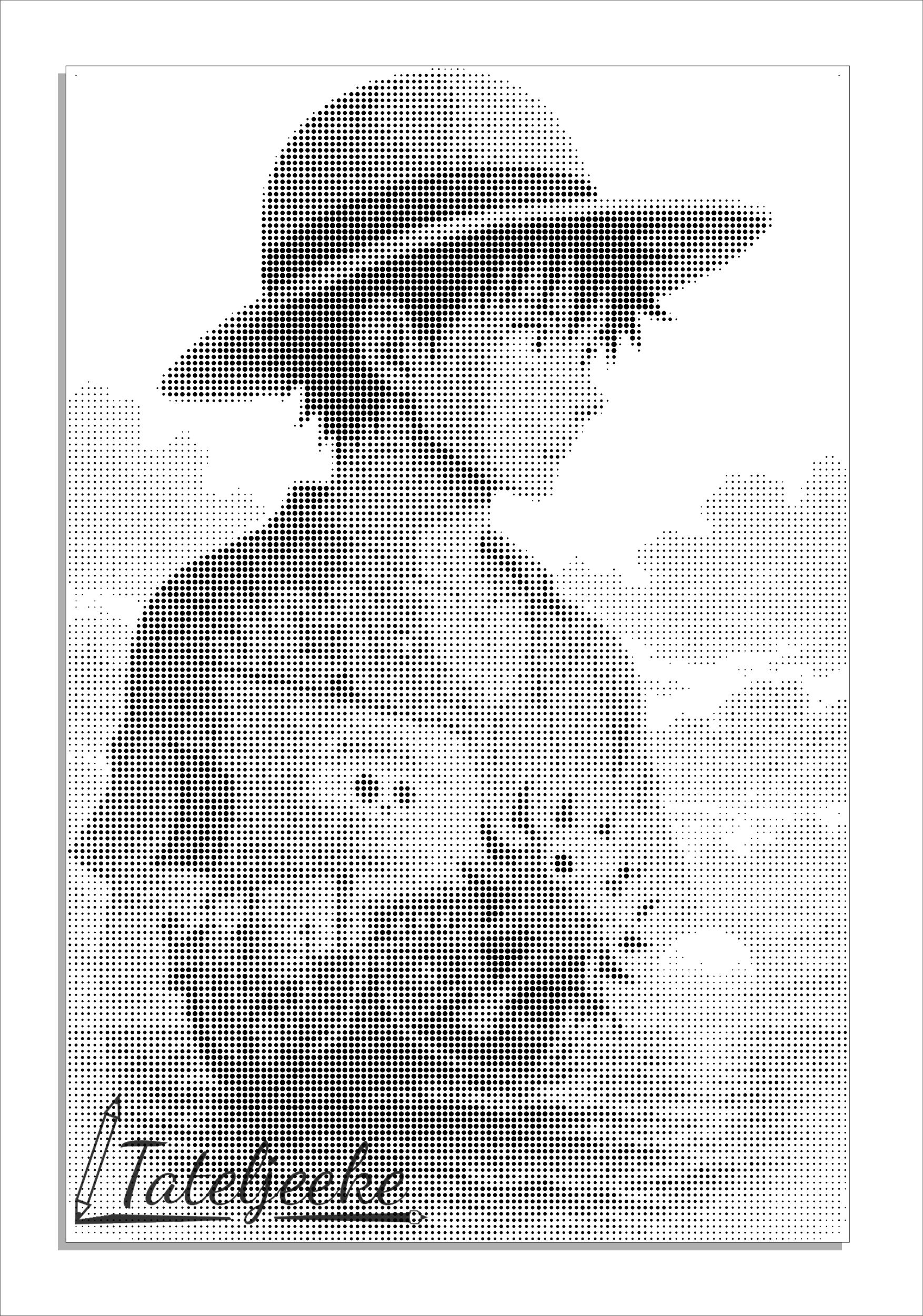 One Piece Luffy