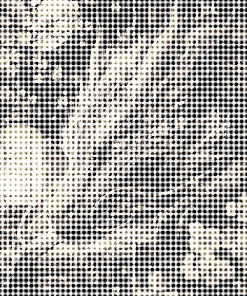 Draak