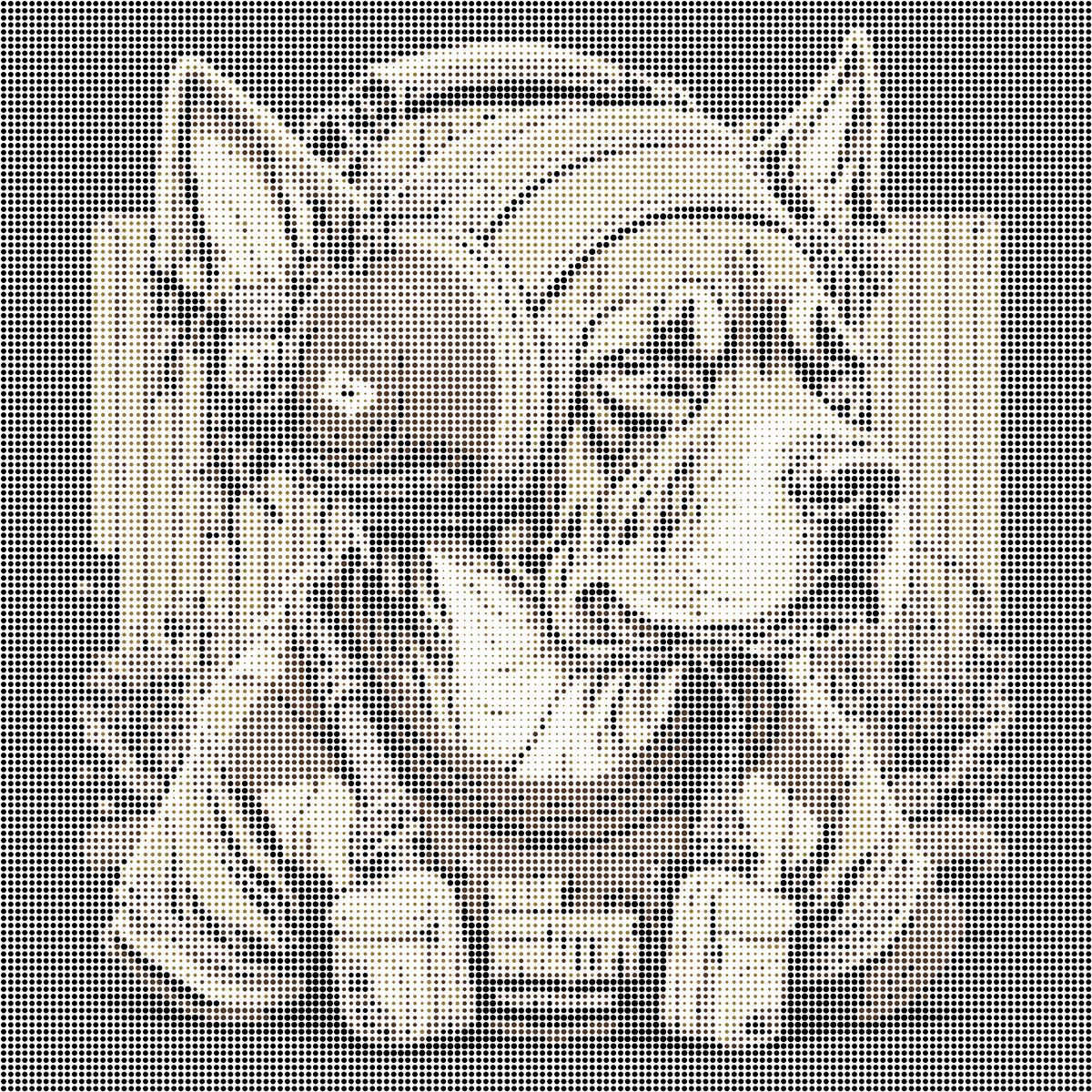 Chien