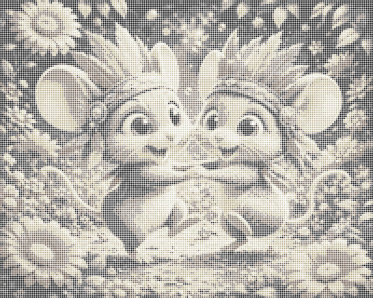 souris